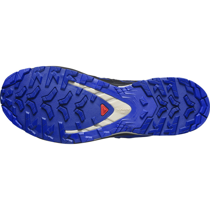 SALOMON XA PRO 3D V9 GTX 
