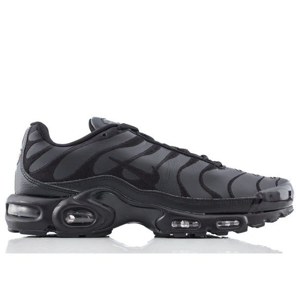 Nike Air Max Plus TN (AJ2029-001)