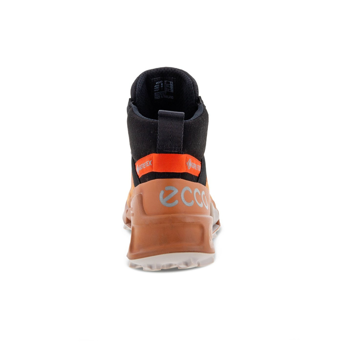Ecco BIOM 2.1 X MTN W MID GTX