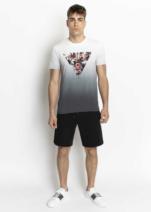 Guess Palm Beach Tee (M1RI84J1300-F9PE)