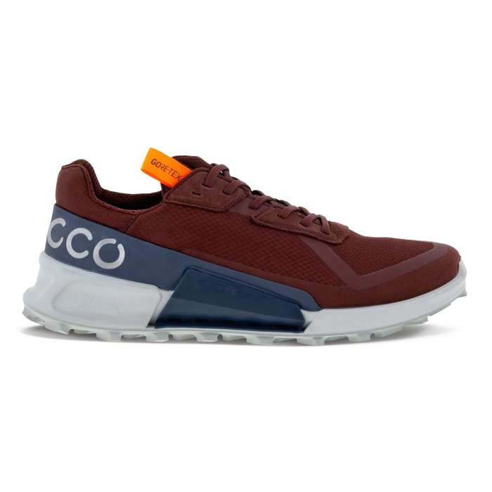 Ecco BIOM 2.1 X CTRY M LOW GTX
