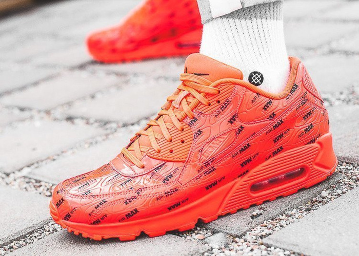 Nike Air Max 90 Premium (700155-604)
