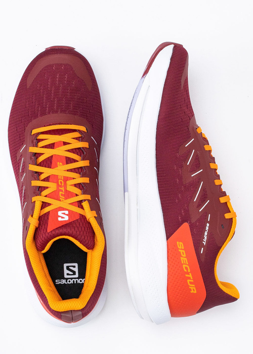 Salomon Spectur
