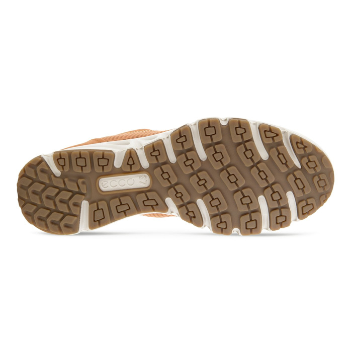 ECCO MULTI-VENT W